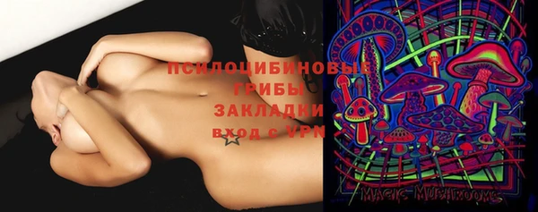 ГАЛЛЮЦИНОГЕННЫЕ ГРИБЫ Арсеньев