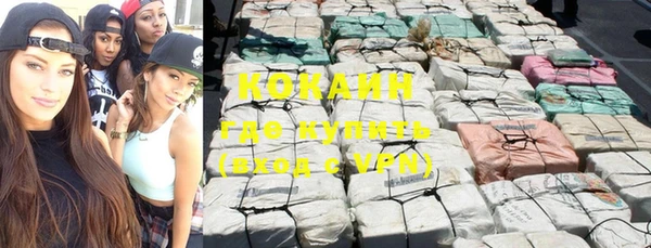 ГАЛЛЮЦИНОГЕННЫЕ ГРИБЫ Арсеньев
