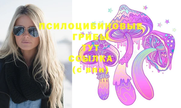ГАЛЛЮЦИНОГЕННЫЕ ГРИБЫ Арсеньев