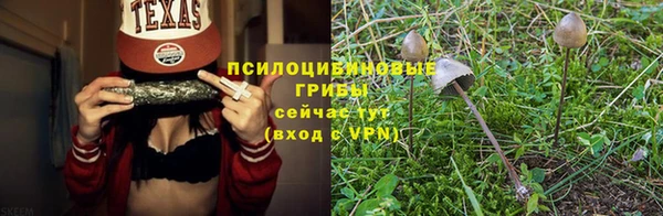 ГАЛЛЮЦИНОГЕННЫЕ ГРИБЫ Арсеньев