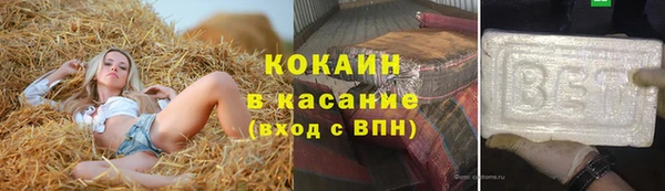 ГАЛЛЮЦИНОГЕННЫЕ ГРИБЫ Арсеньев